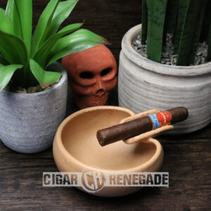 Punch Gran Puro Nicaragua Petite Robusto