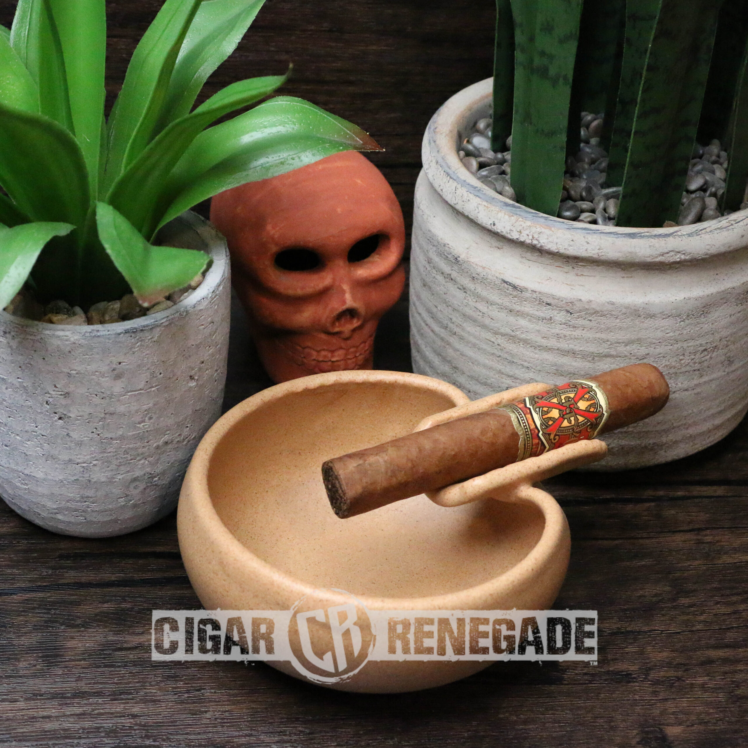 Arturo Fuente Opus X Robusto